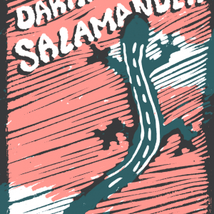 Cover of book - shows a stylised image of a salamander in black on a pale orange background. Text reads 'The Darting Salamander'